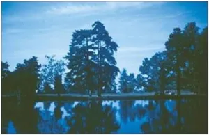 Cokin X021 Blue 80B Square Filter