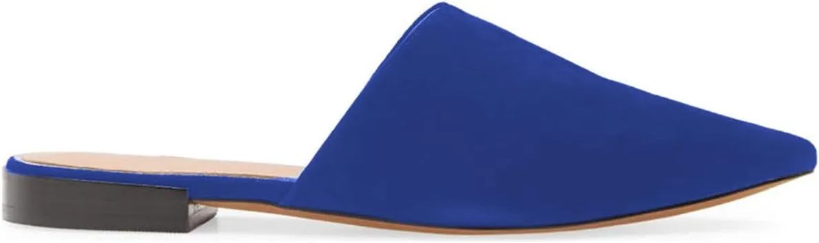 Women Fashion Suede Mules, Sexy Closed Pointed Toe Flat Loafer, Low Heel Backless Mule Sandals, V Cut Lightweight Slip on Walking Shoes for Ladies, Elegant Dress Casual Slippers, Full Size 4-16 M US