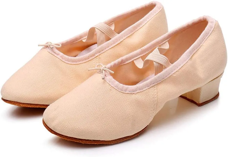 Womens Latin Dance Shoes Close Toe Beginner Ballroom Dance Practice Shoes Low Heel Canvas Tango Teaching Shoes